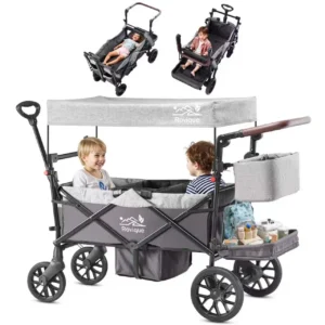 Wagon Stroller for 2 Kids with Canopy, Storage Bag