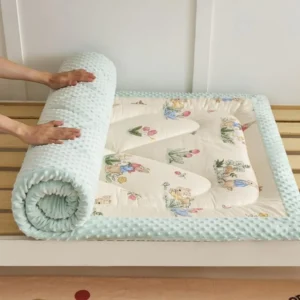 Futon Mattress